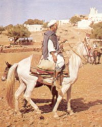 Berberisco